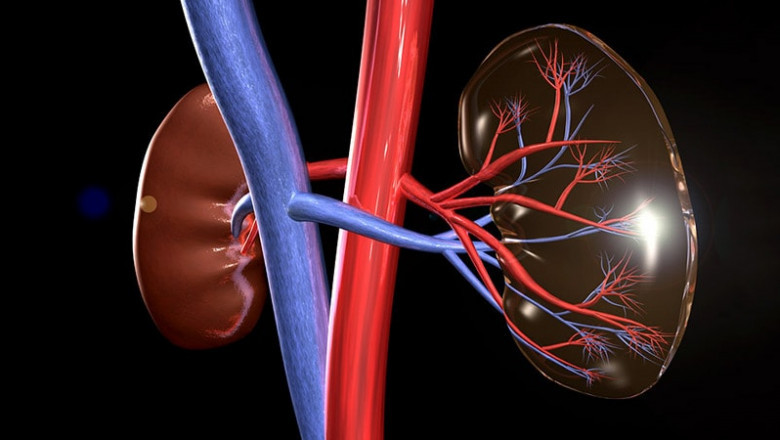 The type of product and technology used determine the segments of the worldwide Renal denervation device market