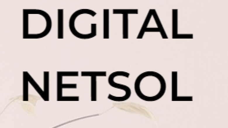 DIGITAL NETSOL
