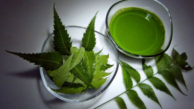 In addition to nematicidal and antifungal properties, neem extracts have other organic vital benefits