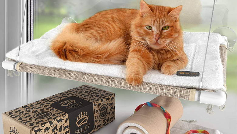 How to Choose the Best Cat Window Perch for Your Feline Friend