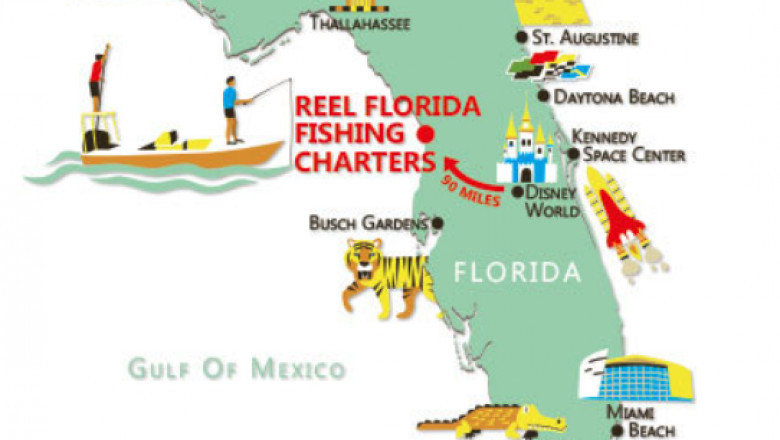 Homosassa scallop charter