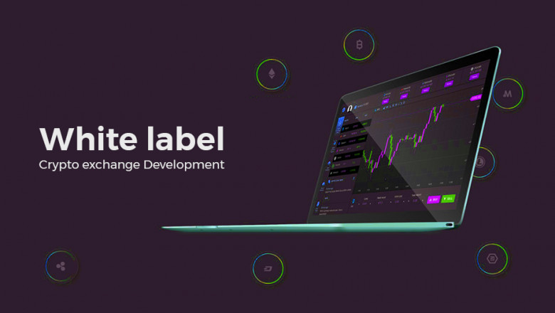 Why a White label cryptocurrency exchange software development a betterment of the future?