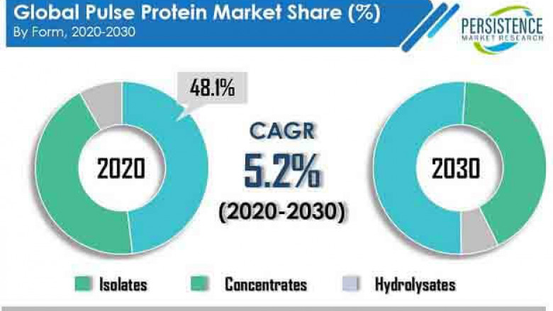 Demand for Pulse Protein Market from Key End-use Sectors to Surge in the Near Future