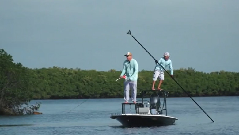 Homosassa scallop