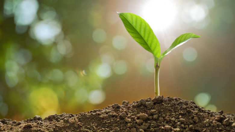 Biofertilizers Market Outlook, Key Business Strategies 2022-2030