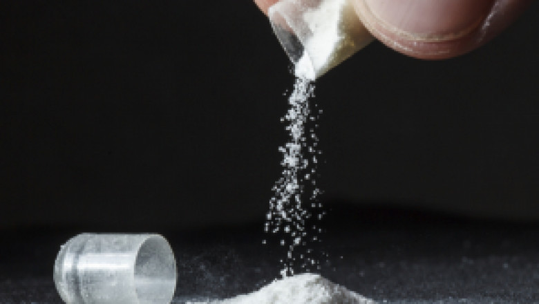 Microcrystalline Cellulose Market Insights and Forecast to 2022-2030