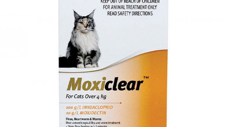 Buy Moxiclear For Large Cats Over 4 Kg Orange | DiscountPetCare
