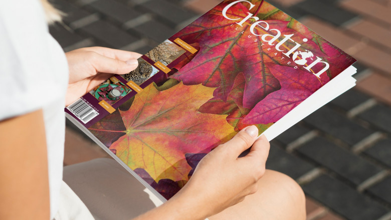 Popular magazines