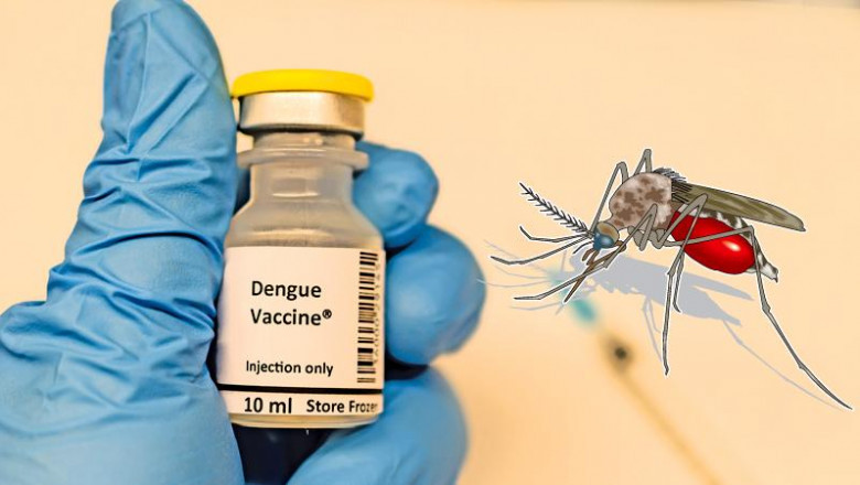 There is no recommended dengue vaccine for those who haven't had dengue fever before
