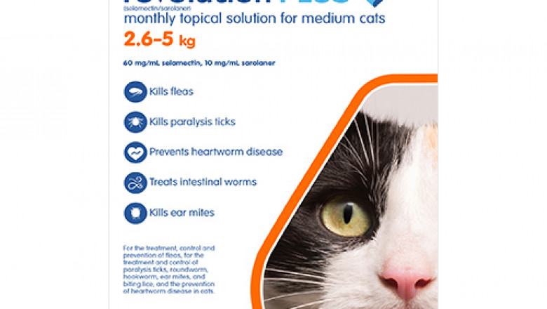 Buy Revolution Plus For Medium Cats 2.5 - 5kg Orange