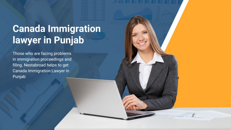 Hire the best immigration lawyers or consultants- Nestabroad Immigration
