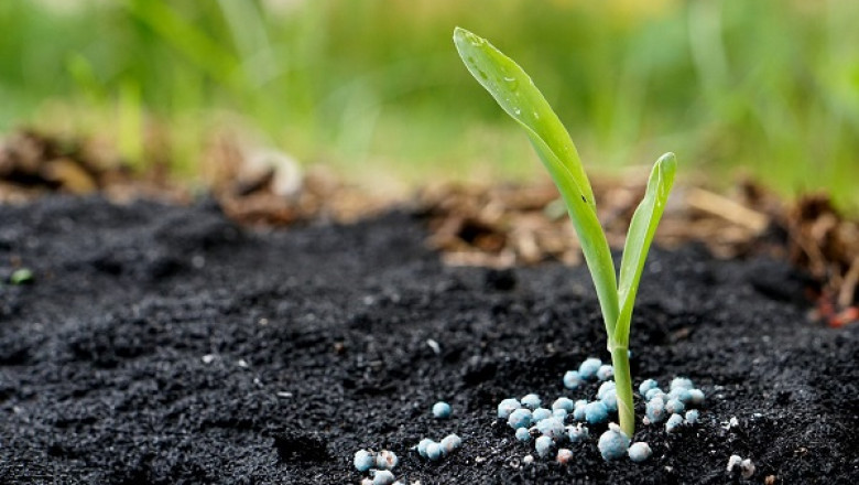 Fertilizer Market Global Industry Analysis and Forecast 2021-2027