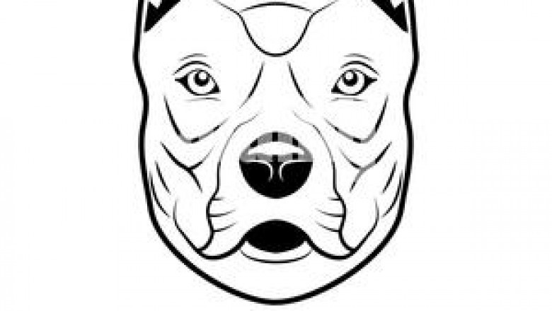 How do I Swap Pitbull Token?