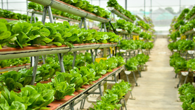 Indoor Farming Market Insights 2022, Global Analysis and Forecast to 2030