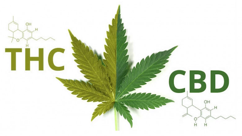 Benefits of CBD and THC together