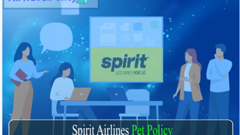 Spirit Airlines Pet Travel Policy - AirTravelPolicy