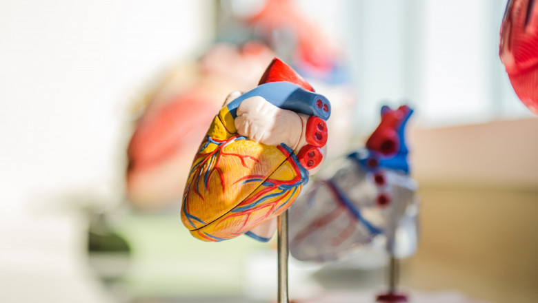 PUBLISHING IN A REPUTED MEDICAL JOURNAL