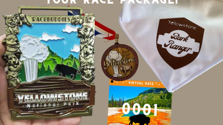 Benefits of Virtual Runs With Medals