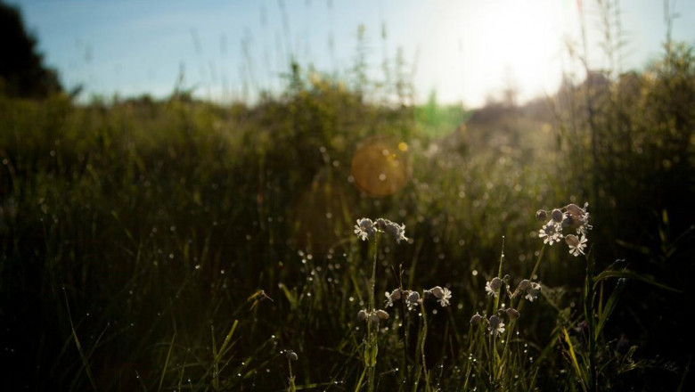 4 matters you have to know to generally be a reliable healer