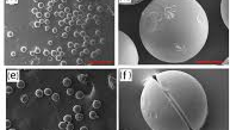 Global Resorcinol Formaldhyde Latex Market Report, Latest Trends, Industry Opportunity & Forecast to 2028