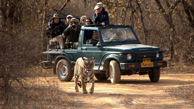 Things to know about Ranthambore National Park and Safari Booking