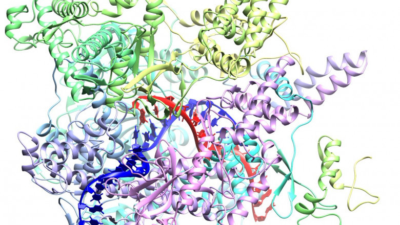 Cancer Microbiome Sequencing Market Research Report - Competitive Analysis and Forecast period during 2022-2027