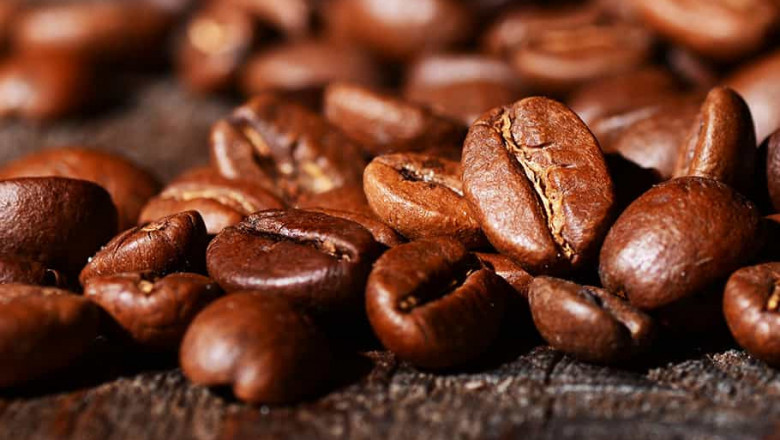Great Coffee is Made from Arabica Coffee Beans.