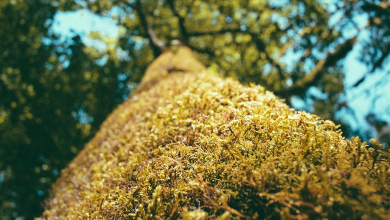 prepare residence for the holidays while saving energy