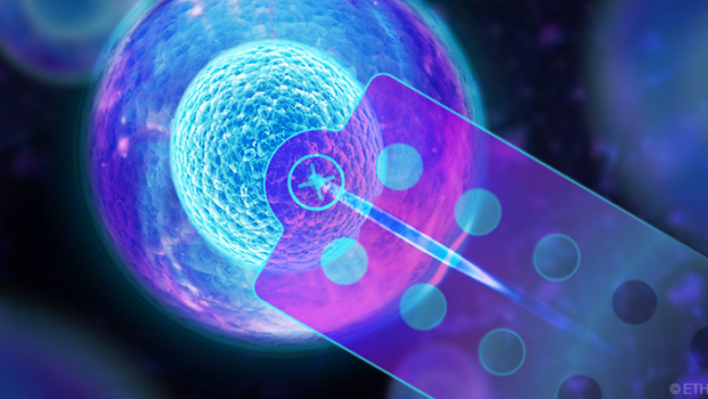 The Single Cell Analysis Is Ideally Suited To Understanding Biological Heterogeneity