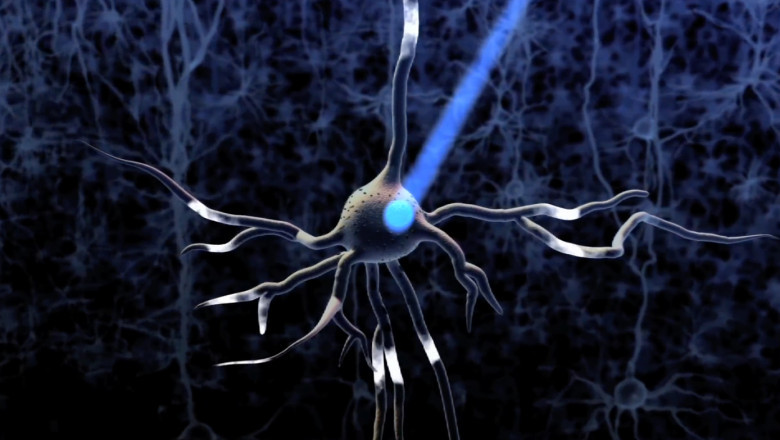 Why Optogenetics is Exciting to Neuroscientists