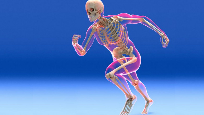 Bone and Musculoskeletal Allografts Market Research Report Detailed Analysis 2022| Research Informatic