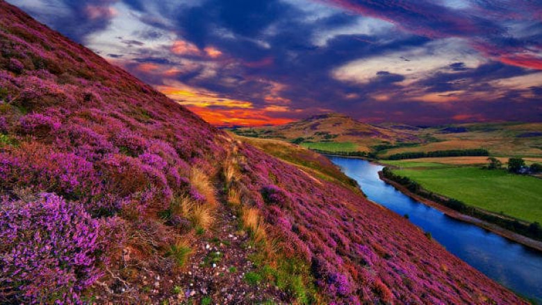 The must visit for the Nature Lovers – Valley of Flower
