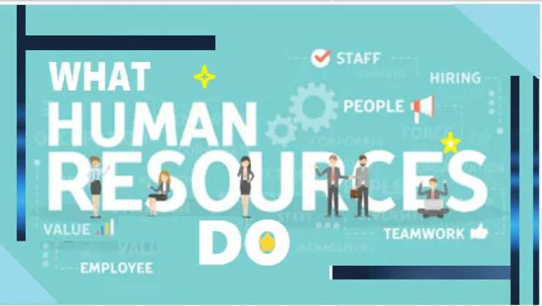 What does an HR do?
