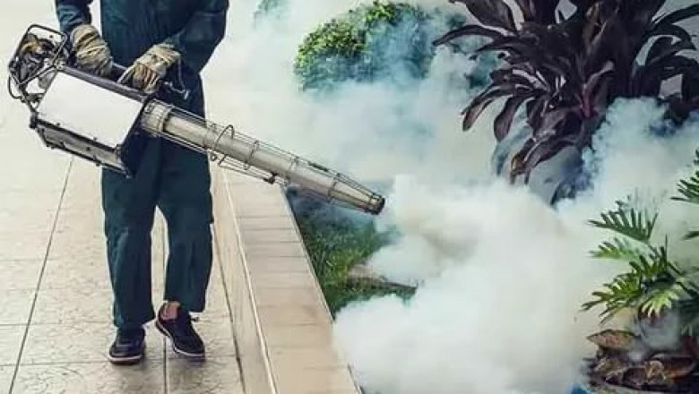 Fumigation Services Market Size Analysis, Revenue Forecasts and Regional Focus