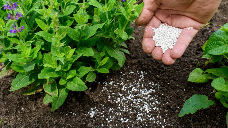 Understand the Need for Filter Aid Powder in Agriculture