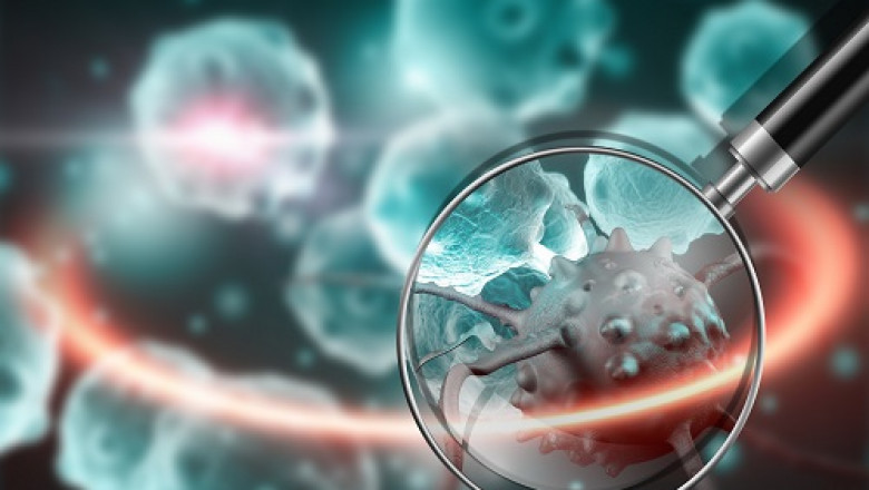 In cell expansion, daughter cells are generated from a parent cell by massively artificial means