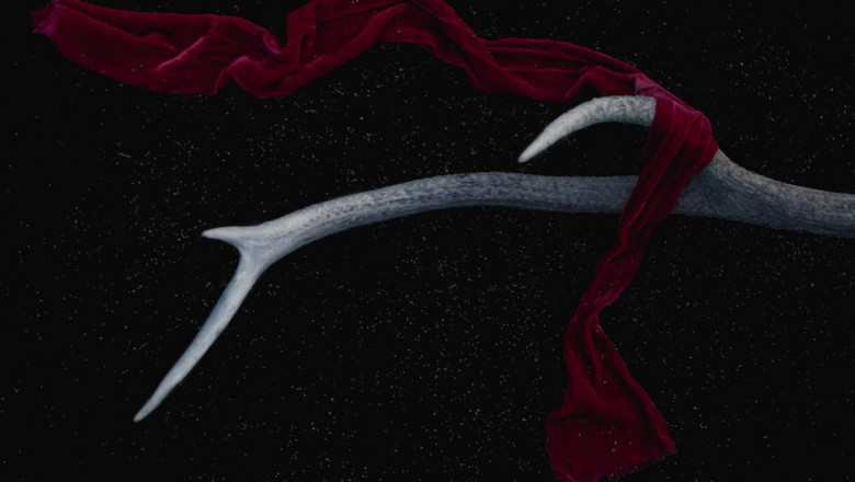 plastic pant hangers simple and convenient