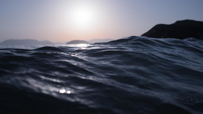 fish and shellfish health and wellness informs