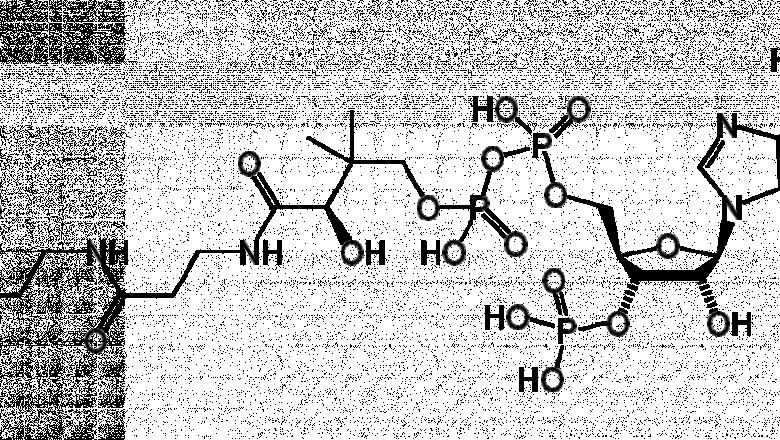Growth, Opportunities, and Forecasts for the Acetyl Market 2022-2028