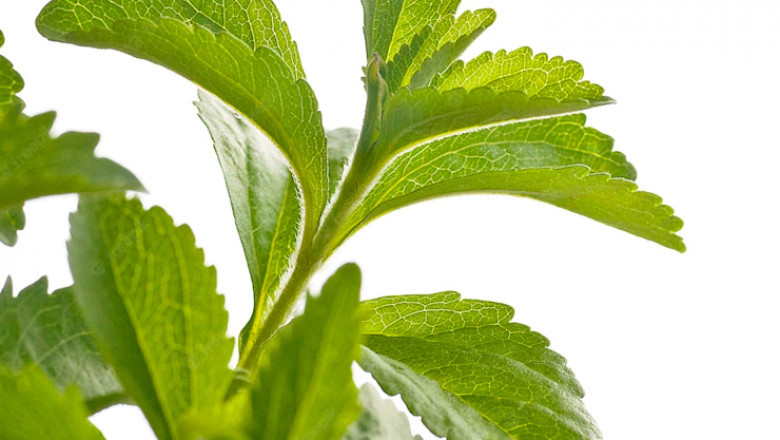 A Brief Overview of Stevia Regulations