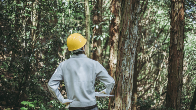 Career in Forestry and Wildlife - Institute for Career Studies
