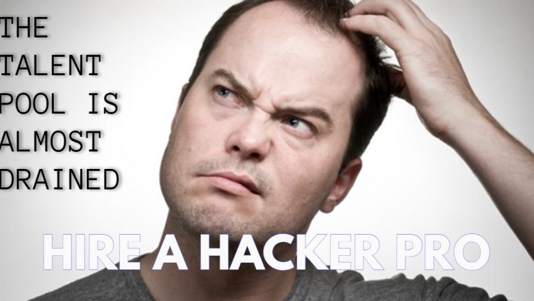 Hire a Hacker Pro : The Talent Pool Is Drying Up. This is Great News!