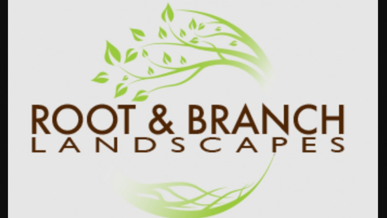 Landscape Designs Fundamentals Explained