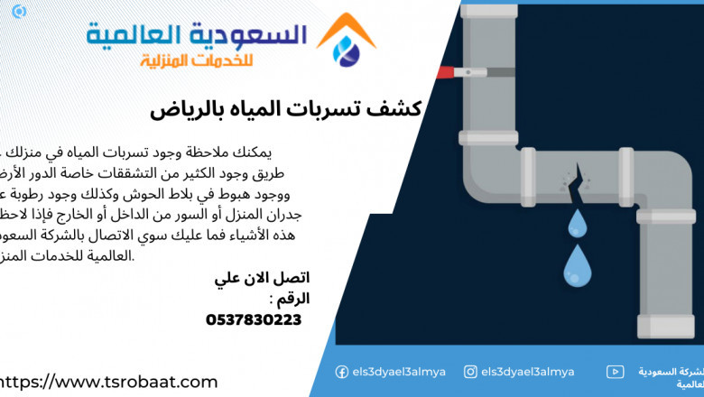 water leak detection company