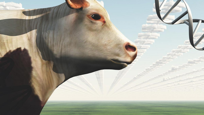 Animal Genetics Market Trends and Forecast to 2028