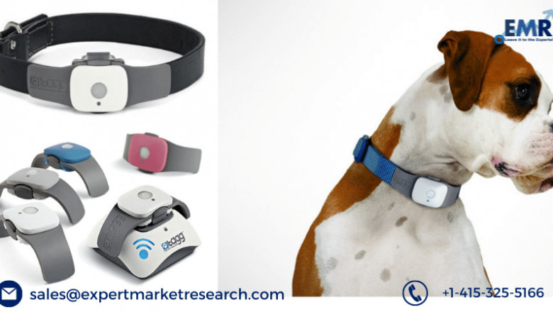 Global Pet Wearable Market Is Expected To Grow At CAGR Of 14% In The Forecast Period Of 2021-2026