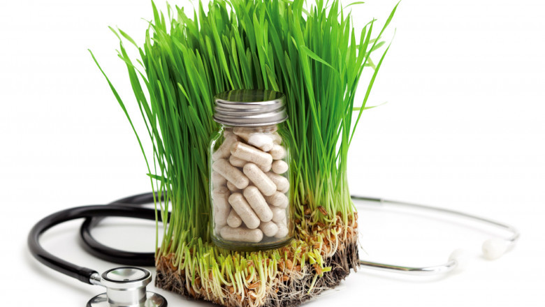 Integrative Medicine
