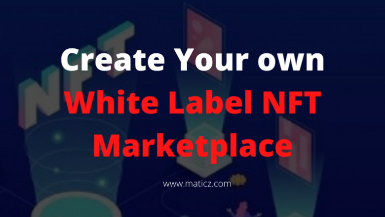 The Beginner’s Guide to White Label NFT Marketplace Development for the Newbies.