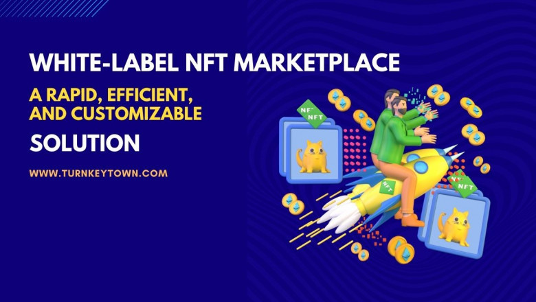 Build A Futuristic NFT Marketplace With White-label NFT Marketplace Solution