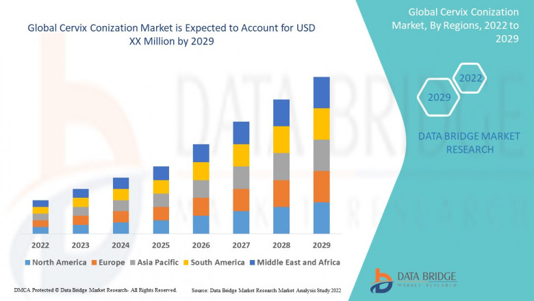 Global Cervix Conization Market Research Report by Facilities